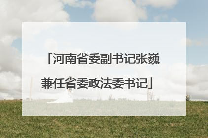 河南省委副书记张巍兼任省委政法委书记