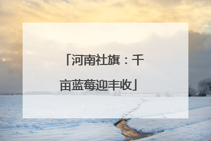 河南社旗：千亩蓝莓迎丰收