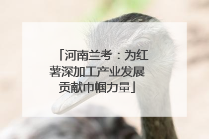 河南兰考：为红薯深加工产业发展贡献巾帼力量