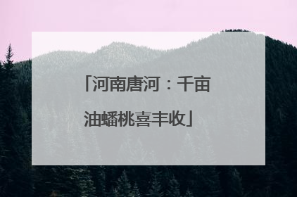 河南唐河：千亩油蟠桃喜丰收