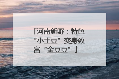 河南新野：特色“小土豆”变身致富“金豆豆”