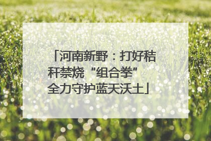 河南新野：打好秸秆禁烧“组合拳” 全力守护蓝天沃土