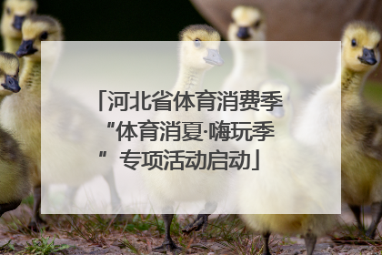 河北省体育消费季“体育消夏·嗨玩季”专项活动启动