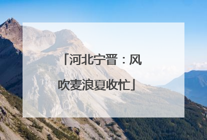 河北宁晋：风吹麦浪夏收忙