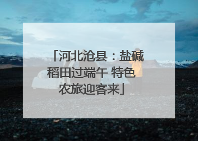 河北沧县：盐碱稻田过端午 特色农旅迎客来