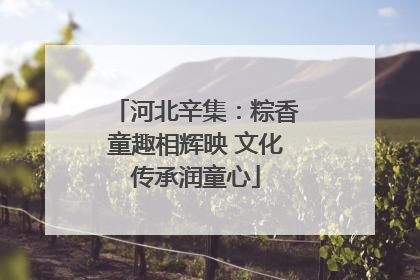 河北辛集：粽香童趣相辉映 文化传承润童心