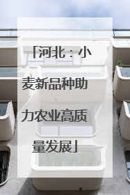 河北：小麦新品种助力农业高质量发展