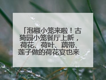 泡椒小笼来啦！古猗园小笼餐厅上新，荷花、荷叶、藕带、莲子做的荷花宴也来尝一下？