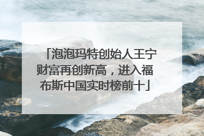 泡泡玛特创始人王宁财富再创新高，进入福布斯中国实时榜前十