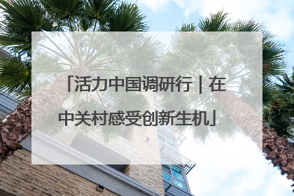 活力中国调研行｜在中关村感受创新生机