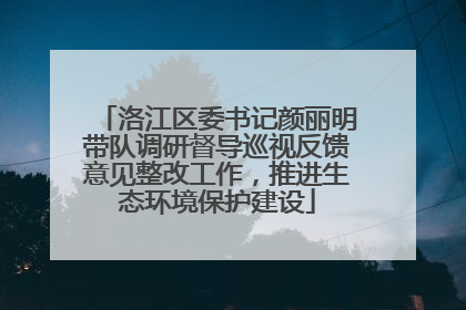 洛江区委书记颜丽明带队调研督导巡视反馈意见整改工作，推进生态环境保护建设