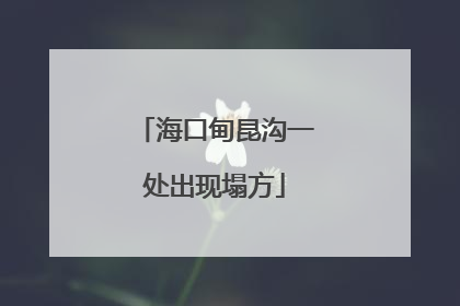 海口甸昆沟一处出现塌方