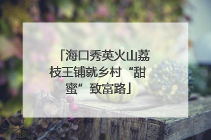 海口秀英火山荔枝王铺就乡村“甜蜜”致富路