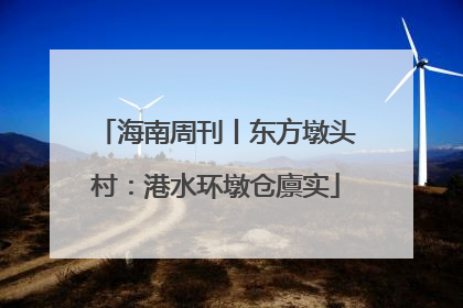 海南周刊丨东方墩头村：港水环墩仓廪实