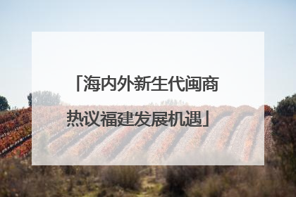海内外新生代闽商热议福建发展机遇
