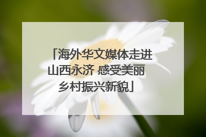 海外华文媒体走进山西永济 感受美丽乡村振兴新貌