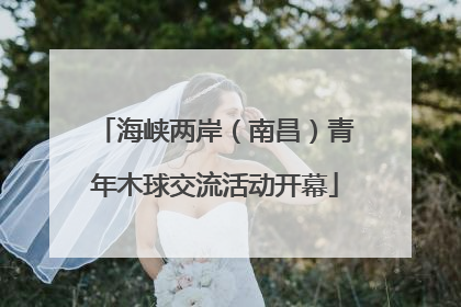 海峡两岸（南昌）青年木球交流活动开幕