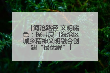 海沧路径 文明底色：探寻厦门海沧区城乡精神文明融合创建“最优解”