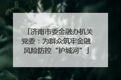 济南市委金融办机关党委：为群众筑牢金融风险防控“护城河”