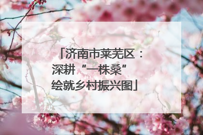 济南市莱芜区：深耕“一株桑” 绘就乡村振兴图