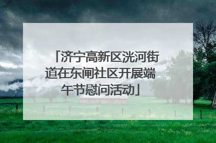 济宁高新区洸河街道在东闸社区开展端午节慰问活动