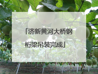 济新黄河大桥钢桁梁吊装完成