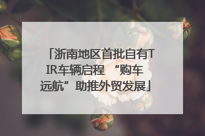 浙南地区首批自有TIR车辆启程 “购车远航”助推外贸发展