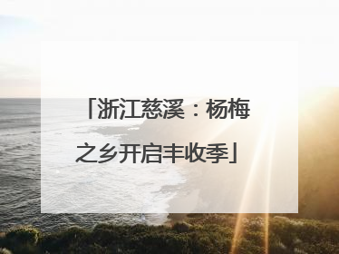 浙江慈溪：杨梅之乡开启丰收季