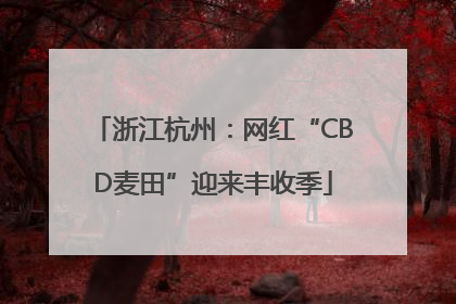 浙江杭州：网红“CBD麦田”迎来丰收季