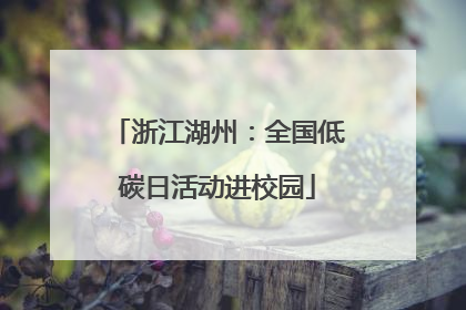 浙江湖州：全国低碳日活动进校园