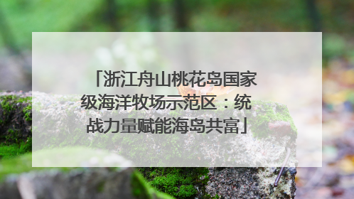 浙江舟山桃花岛国家级海洋牧场示范区：统战力量赋能海岛共富