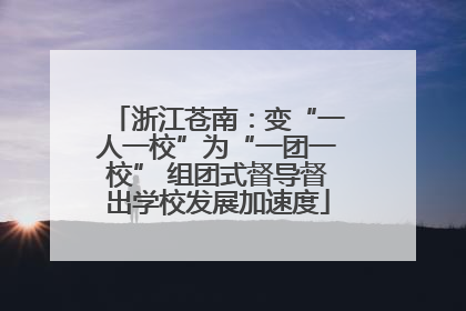 浙江苍南：变“一人一校”为“一团一校” 组团式督导督出学校发展加速度
