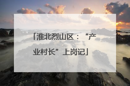 淮北烈山区：“产业村长”上岗记