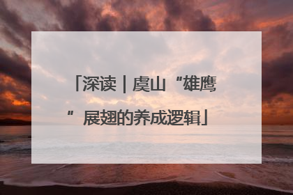 深读｜虞山“雄鹰”展翅的养成逻辑