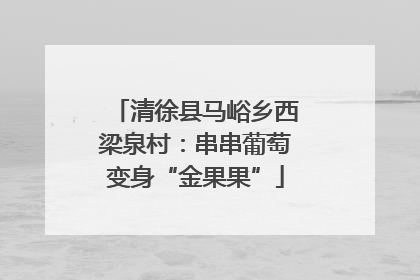 清徐县马峪乡西梁泉村：串串葡萄变身“金果果”