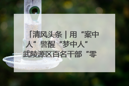 清风头条｜用“案中人”警醒“梦中人” 武陵源区百名干部“零距离”接受警示教育