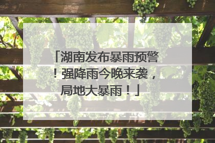 湖南发布暴雨预警！强降雨今晚来袭，局地大暴雨！
