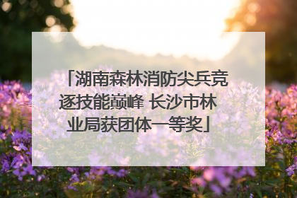 湖南森林消防尖兵竞逐技能巅峰 长沙市林业局获团体一等奖