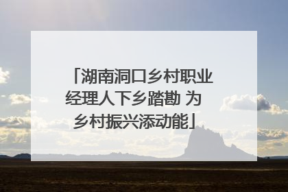 湖南洞口乡村职业经理人下乡踏勘 为乡村振兴添动能