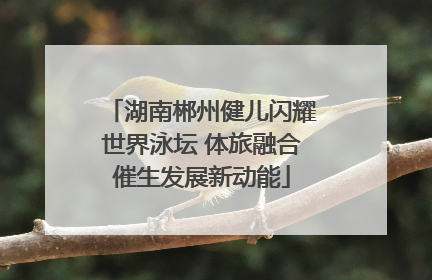 湖南郴州健儿闪耀世界泳坛 体旅融合催生发展新动能