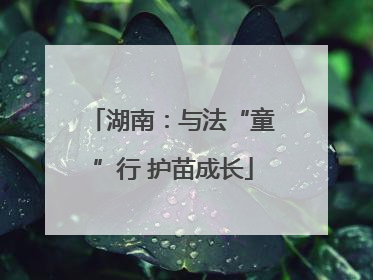 湖南：与法“童”行 护苗成长