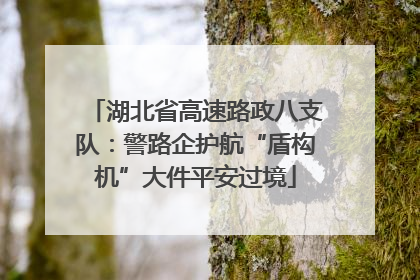 湖北省高速路政八支队：警路企护航“盾构机”大件平安过境