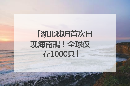 湖北秭归首次出现海南鳽！全球仅存1000只