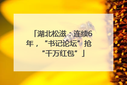 湖北松滋：连续6年，“书记论坛”抢“千万红包”