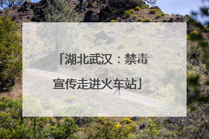 湖北武汉：禁毒宣传走进火车站