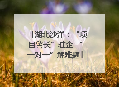 湖北沙洋：“项目警长”驻企 “一对一”解难题