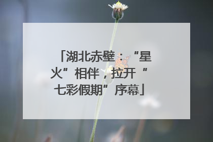 湖北赤壁：“星火”相伴，拉开“七彩假期”序幕