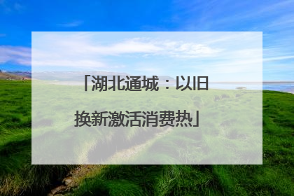 湖北通城：以旧换新激活消费热