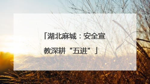 湖北麻城：安全宣教深耕“五进”