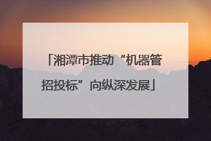 湘潭市推动“机器管招投标”向纵深发展
